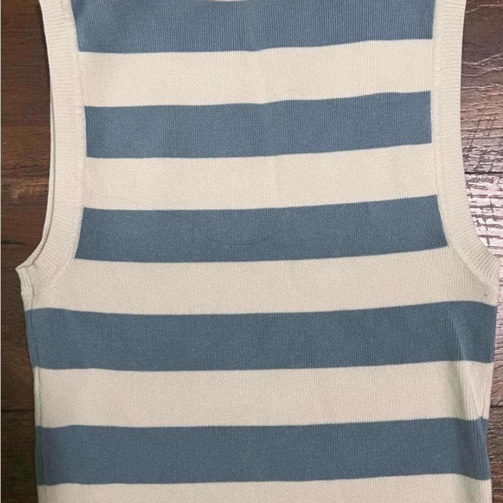 Zara Striped Blue and Cream Knit Crop Tank Top - Picture 3 of 4